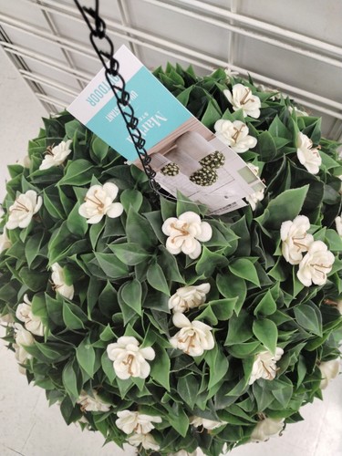 Martha Stewart LARGE 16" TOPIARY HANGING PLANT BALL Gardenia Ivory Circm 53" NEW - Picture 2 of 15