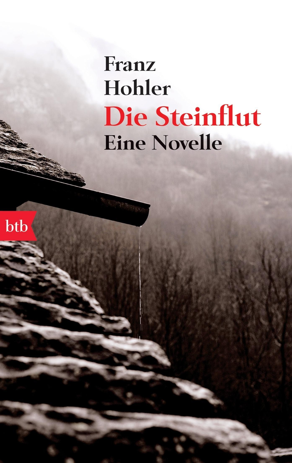 Thumbnail - Die Steinflut Franz Hohler
