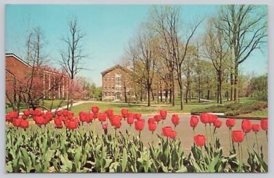 Richmond IN   Campus in Spring Earlham College Wayne County  UNP  Postcard *c6