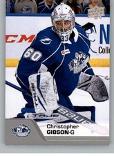 2020-21 Upper Deck AHL Hockey Cards (Base or Short Prints) Pick From List