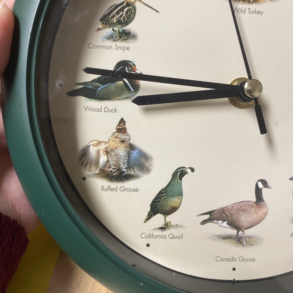 "Reloj Pájaro Pequeño 8"" Cazador Color Verde Hace Sonidos de Pájaro Probado Funciona Turquía" Foto 4 de 4