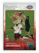 TOM CICOTELLO #STA-TC 2015 TOPPS