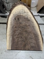 Large 19  Curly Black Walnut Live Edge Slab - Epoxy Void - 23  Long - Planed
