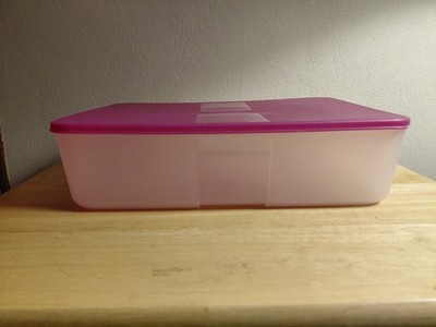 Tupperware Freezer Mate 11x9x3 12.5 Cup 2097A Raspberry Lid (Flaw)