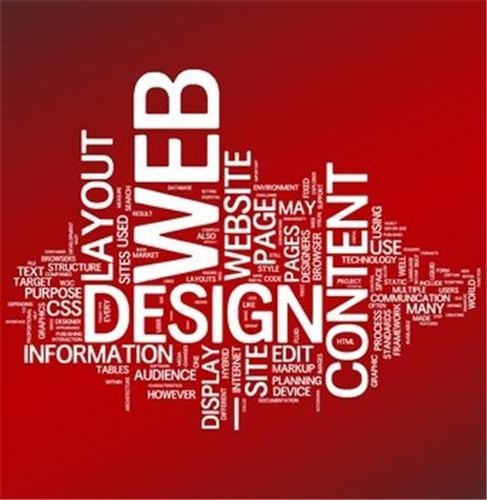 Business Plan: WEB HOSTING COMPANY - Start Up - NEW! - 第 1/1 張圖片