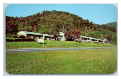 Boundary Tree Motor Court Cherokee North Carolina Vintage Postcard Unposted A2