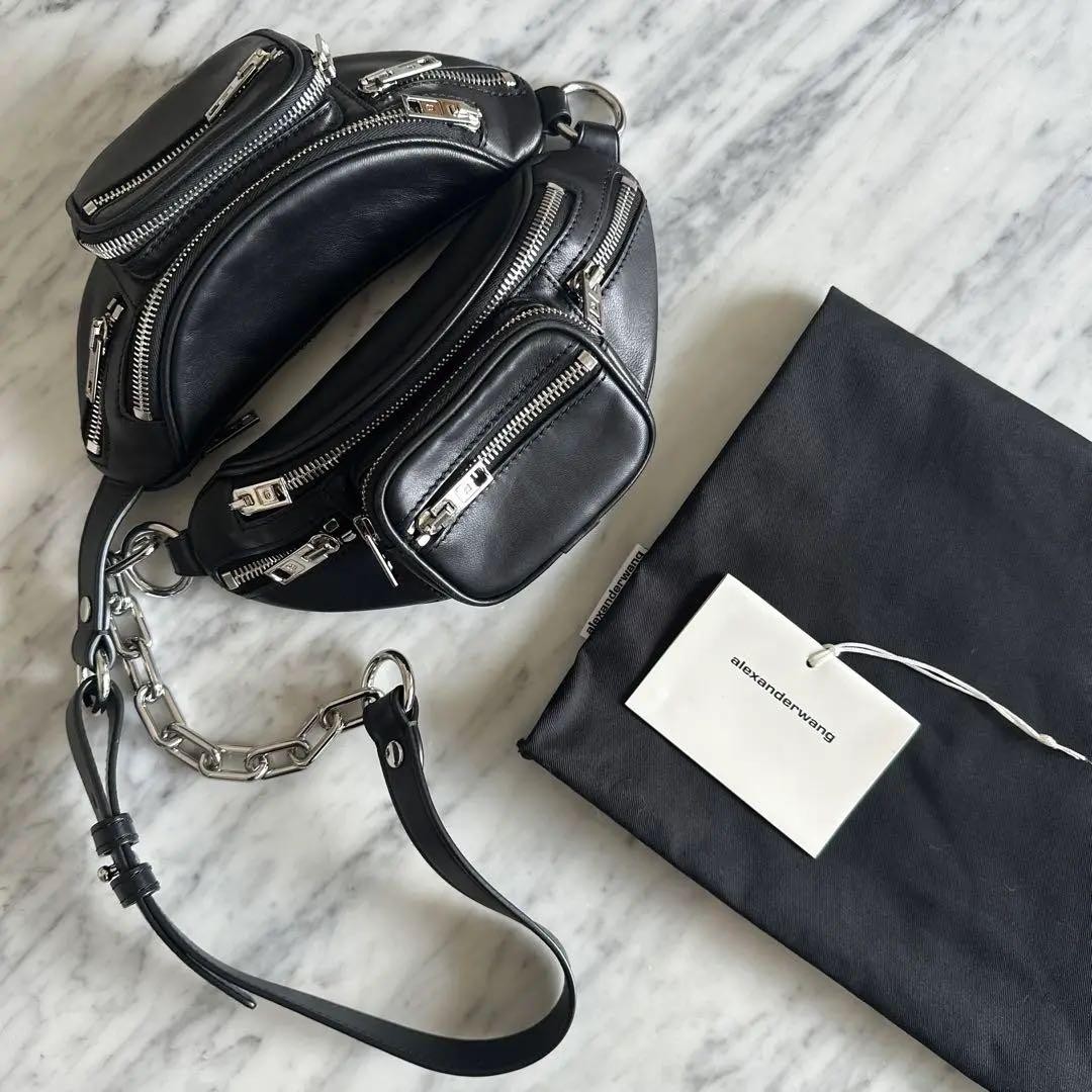 Alexander Wang Attica Soft Double Mini Fanny Pack Unisex | eBay