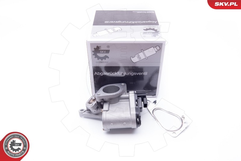Fits SKV GERMANY 14SKV165 EGR VALVE 14SKV165 RENAULT LAGUNA II MEGANE ⭐UK Stock⭐