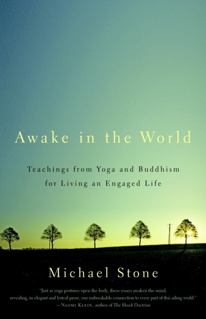Awake in the World by Michael Stone (Paperback Book)