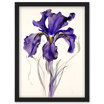 Iris Reticulata Watercolour Flower Bloom Drawing Framed Art Picture Print A4
