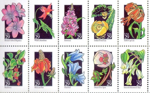 Sheet of 50 Wildflowers of America 1992 US Stamps 29 Cent MNH - Scott 2647-96 - Picture 6 of 7