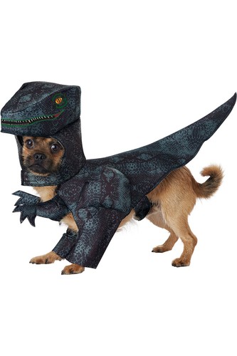 Pupasaurus Rex Dog Costume Halloween Attached Arms Sleeves  PET20169  SIZE: S
