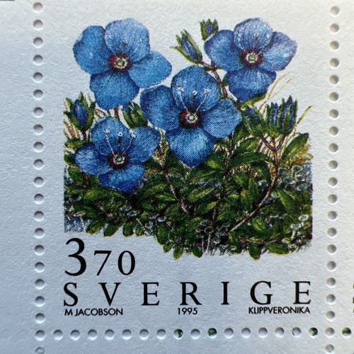 1995 FJÄLLBLOMMOR - MOUNTAIN FLOWERS Swedish Complete Booklet of Stamps - Picture 2 of 6
