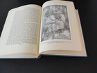 Foto 11 di 11