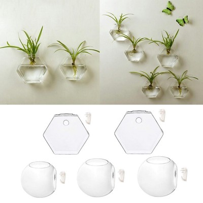 1pc Glas Wand Hngen Pflanzer Glas Air Pflanzen Vase Wand Container Kugeln  | eBay.de