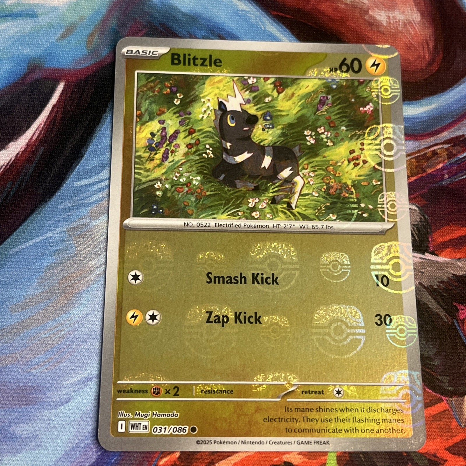 Blitzle (Master Ball Pattern) 031/086 SV: White Flare Common NM