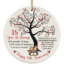 35 Years Love Ornament Happy 35th Anniversary Cute Penguin Couple Christmas Gift
