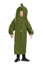 Cactus Costume for Adults  One-Piece Adult Costume  One Size Fits Most
