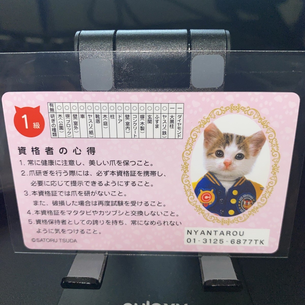 Nyantarou Namennayo TCG ID Card Bosozoku Cats Kawaii Japanese Rare