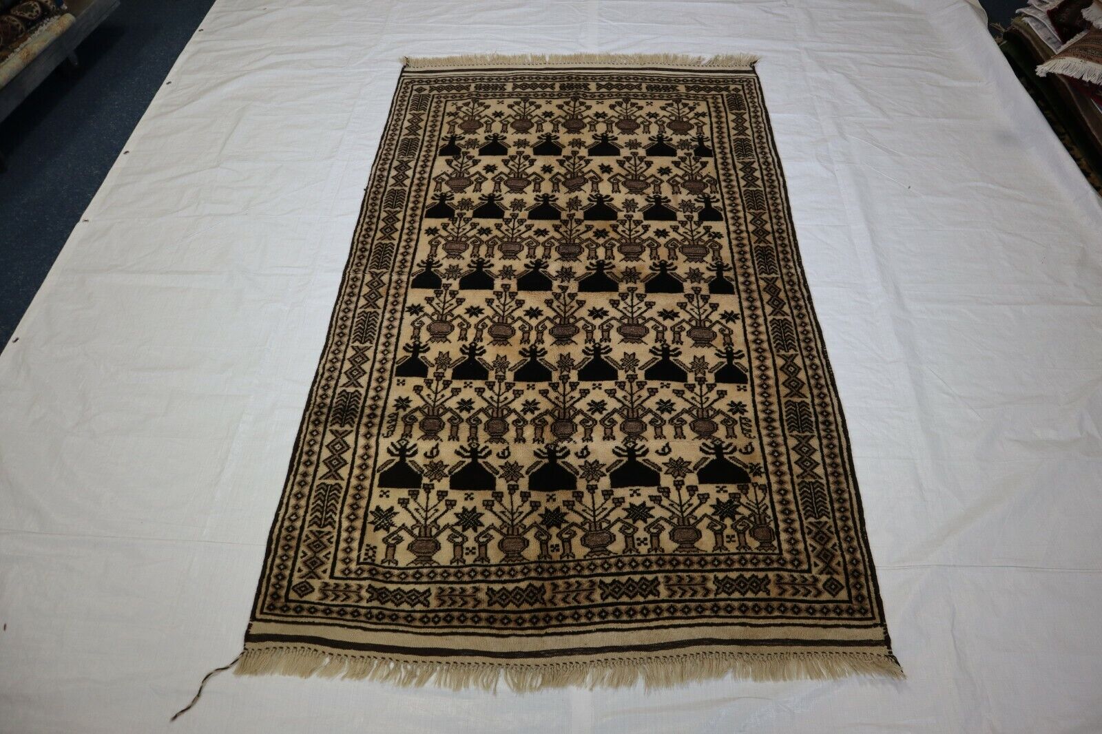 4'11 x 8'0 ft Baluch Maldari hand knotted vegetable dye oriental rug