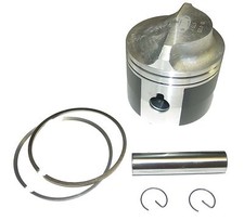 WSM Johnson Evinrude 65-200 Hp Crossflow Pist...