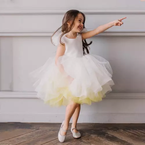Baby Girl Princess Dress Fly Sleeve Back Hollow Vestido Party Baby Clothes 2 10Y