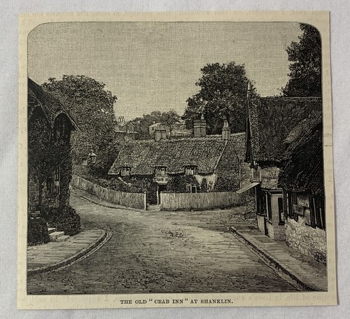 Grabado de revista 1883 ~ OLD CRAB INN en Shanklin, Isla de Wight