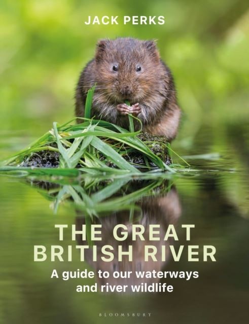 The Great British River by Jack Perks Paperback