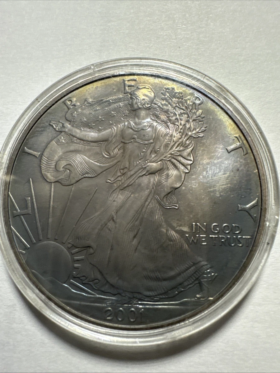 C*e様 2001 American Eagle Silver Dollar 2001 American Silver Eagle - Currency and Coin