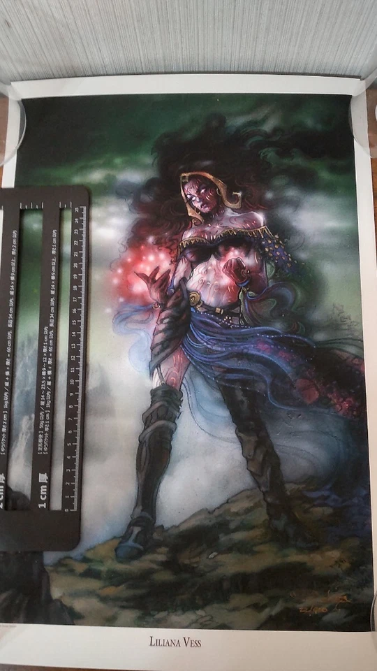 Liliana Vess Limited Edition Original Art Print Signed No22 MTG - Image 3 of 4