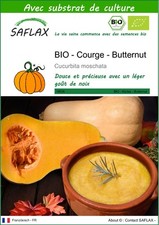 SAFLAX - BIO - Courge - Butternut - 6 graines - Avec substrat - Cucurbita