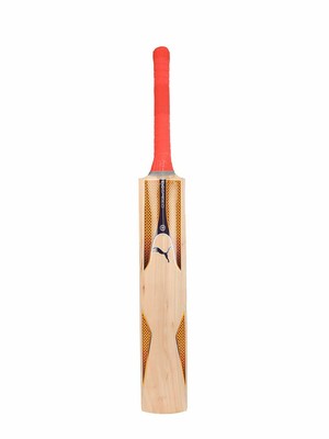 puma evospeed 6 cricket bat
