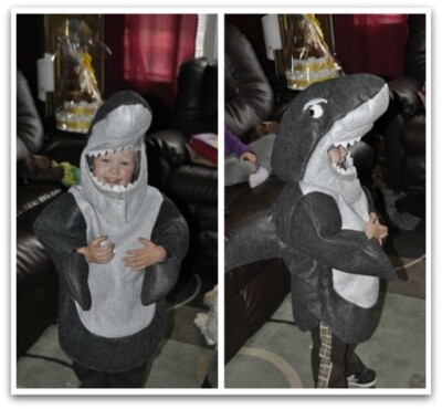 NWT/NEW POTTERY BARN KIDS 2T-3T/2-3 SHARK HALLOWEEN COSTUME | eBay