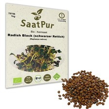 1Kg BIO Keimsaat für Sprossen Radies Black Radish Keimsprossen Microgreens Vegan