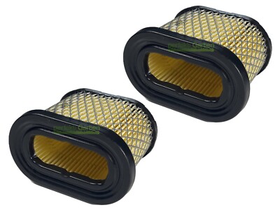 2 X Luftfilter Briggs & Stratton B&S 126300 129600 12R500 / 697029 273356 4201