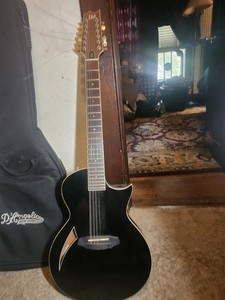 ESP LTD Thinline TL-12 Black BLK 12-String Acoustic-Electric Guitar B-Stock TL12