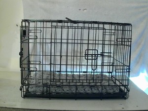 science diet pancreatitis