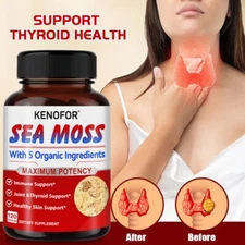 Seaweed supplement 400mg Immune Support Joint Thyroid Support