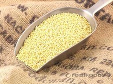 Millet, Hulled, Organic, Non-GMO, Select Size Below, Bulk, FAST SHIP