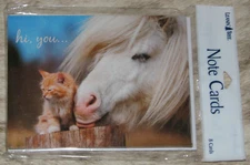 LEANIN TREE "Kitten & Pony "hi you..."~Pack of 8 Notecards #35654~Blank Inside
