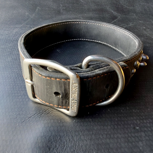 Harley Davidson Black Leather Studded 24“Pet Collar - Picture 5 of 9