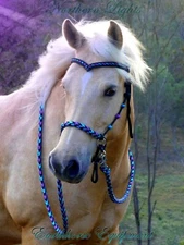 Sliding chinstrap V Brow bitless bridle  black "Northern Lights"