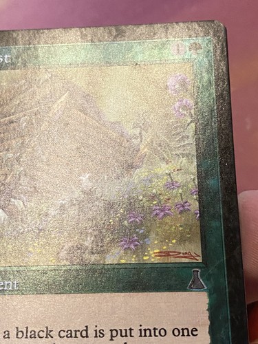 Compost *FOIL* Urza’s Legacy 1999 MTG ULG NM/LP Combined Shipping Black Hoser - Picture 10 of 17