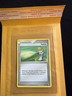POTION 95/115 - NON-HOLO - COMMON - Unseen Forces - 2005 Pokemon Card - LP
