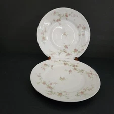 Marie (Scattered Flowers) by Haviland 7 1/2" Salad Plates Set Of 2