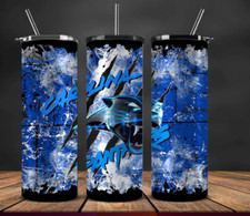 20 oz Carolina Panthers Stainless Steel Tumbler Metal Straw Ice Age Panthers