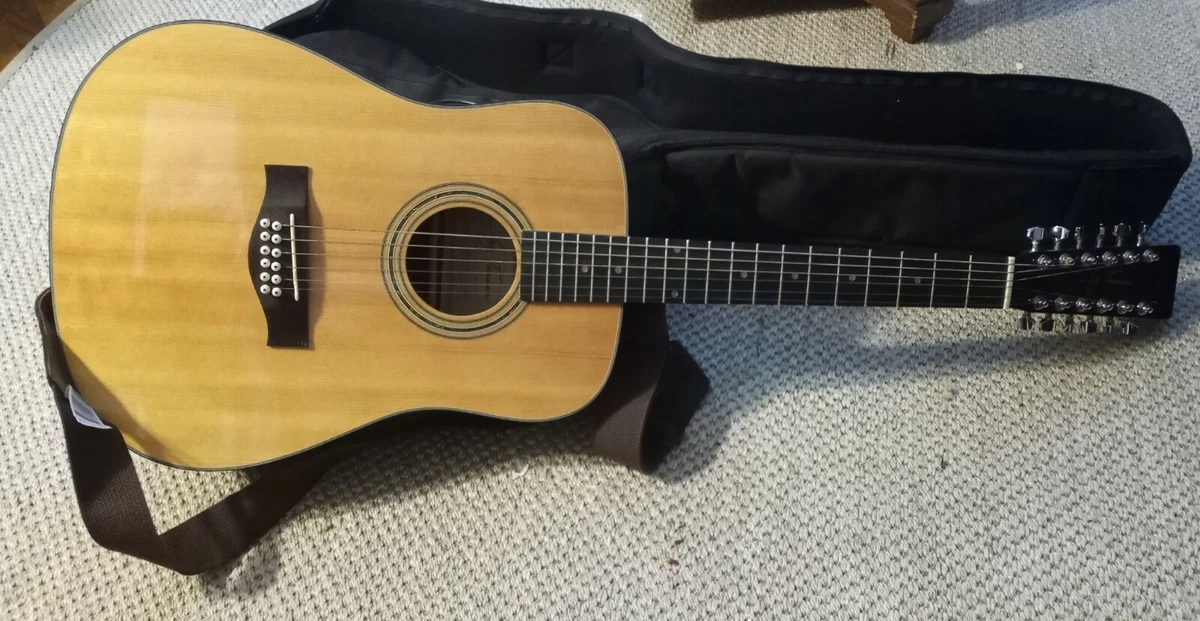 Jay Turser 12 String Acoustic guitar JTA 30S 12NG