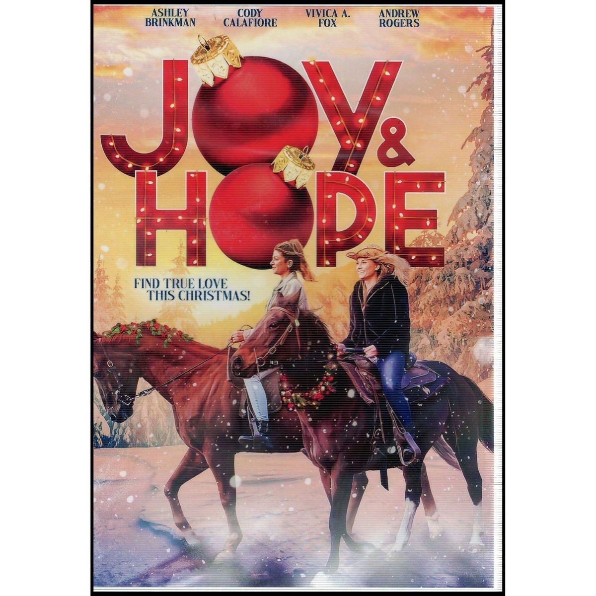 Joy & Hope - Find True Love This Christmas! (DVD) | eBay