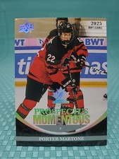 2013 Upper Deck National Hockey Card Details 16