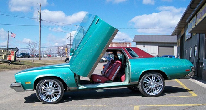 Vertical Doors Inc. Bolt-On Lambo Kit for Buick Regal 78-87